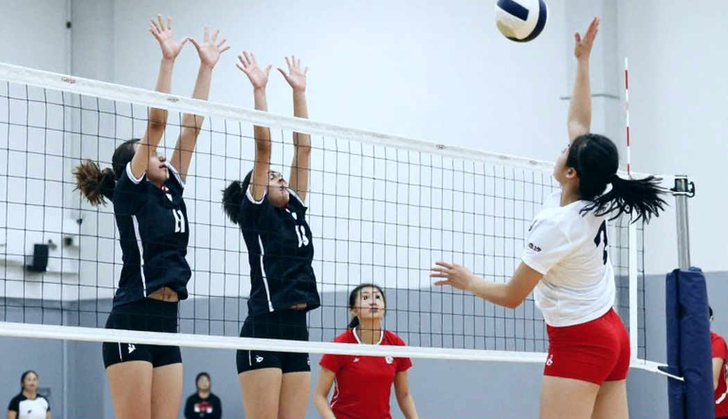 Khoảng trống dữ liệu của bóng chuyền Việt Nam: khi câu trả lời trung thực là 'chưa thể đánh giá